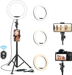 Professionelle Make-up Kreislampe Seming Ringlicht Xf-211 14-Zoll/36cm LED Kalt Warm Licht Ring Typ Stabiles Stativ 55cm Fernbedienung Erfolgreiche Fotos Weiß