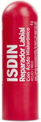 Isdin Repairer Lippen Balsam Red 4gr