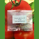 Tomate Hybrid Alma 10 Samen