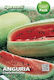 Semințe Pepene Verde Charleston Gri