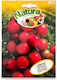 Σπορος Τοματακι Cherry Bell Natura