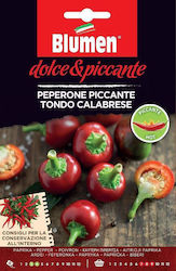 Лют Чушки Calabrese Семена 1 бр