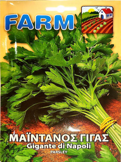 Parsley Seed Flat Leaf Italian Giant Natura