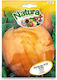 Giant Pumpkin Seed Big Max Natura