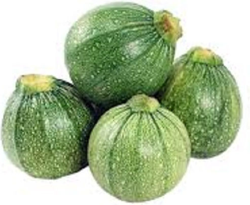 Round Zucchini Seed 3 Gr 12704 Variety Round Fruits Light Green Stripes Suitable for Stuffed Dishes