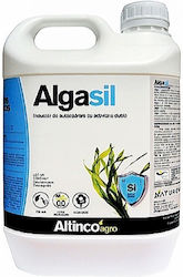 Algasil 5lt Algasil 5lt