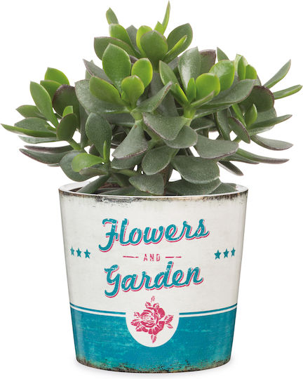 Scheurich Retro Garden Mini-flower Garden 870
