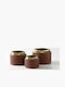 Vază Ceramică Pentru Plante 12x9 Natural Home N-36