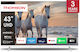 Thomson Смарт Телевизор 50" 4K UHD QLED 50QG4S14 HDR (2024)