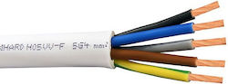 Cabluri De Alimentare Flexibile 5x4mm Cabluri De Alimentare Flexibile 5x4mm