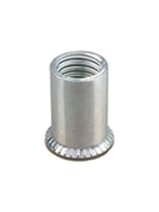 Far 60410101 Nieten Gewindes Eisen Fts C M10 Materialstärke 1 5-3 8mm 100 Stück