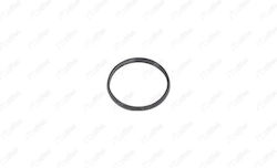 Oring Βαλβ Μεταβλ B-max Jk 1.0 Ecoboost X2 Ibras-br20085