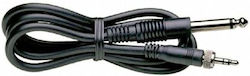 Sennheiser Ci-1n 6,3 Mm De Sex Masculin - 6,3 Mm De Sex Masculin Sennheiser Ci-1n 6,3 Mm De Sex Masculin - 6,3 Mm De Sex Masculin