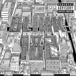 Neighborhoods Vinyl