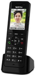 AVM Fritz Black