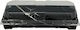 Sushi Premium Black Container Lid No8 20.5x7.8x...