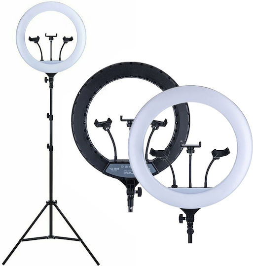Ring Light 43cm με Τρίποδο Δαπέδου και Βάση για Κινητό