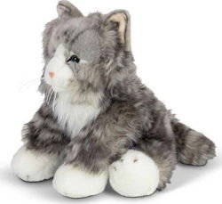 Tobar Kitten