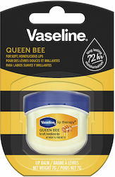 Vaseline Balsam De Buze Long Lasting 72h 7gr Vaseline Balsam De Buze Long Lasting 72h 7gr