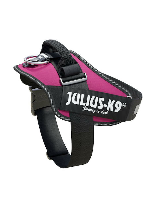 Julius-K9 Hundegeschirre 1/l 66-85cm/50mm Fuchsie