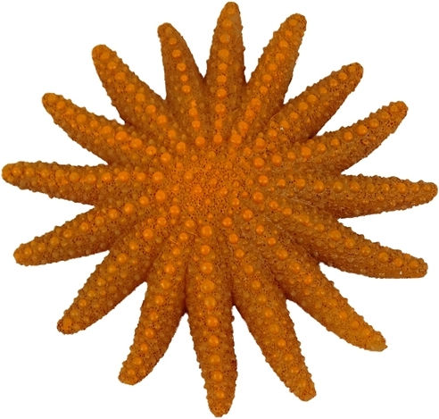 Διακοσμητικο Ενυδρειου Blue Belle Pacific Star Fish Fun Color Orange 9 Cm