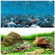 River Rock Sea Green Aquarium Background