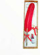 Elliniki Anodos Calligraphy Pen with Feather Red with Blue Ink