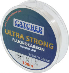 Catcher 0.25mmx300m Fishing Line Gray Fluorocarbon 4.5kg 71253 Catcher 0.25mmx300m Fishing Line Gray Fluorocarbon 4.5kg 71253