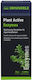Dennerle Plant Active Enzymes