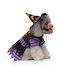 Pet Halloween Costume Witch XL 40cm