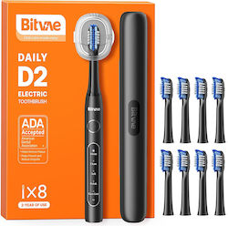 Bitvae Daily D2 Bitvae Daily D2