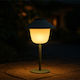 Nattera Tabletop Solar Light with Warm White Li...