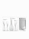 Zivas Wedding Carafe Set with Wine & Champagne Glasses on Tray Inox / Crystal Silver 4pcs