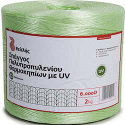 String 6000d Green 2kg-uv Velli