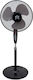 TnS Pedestal Fan 50W with Fan Diameter 40.64cm with Remote Control Black
