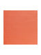Σουπλά 45x33cm Pvc Πορτοκαλί Aps