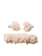 Kids' Baby Ivory Flower Hair Band + 2 Clips Baptism Christening 0-5 Years