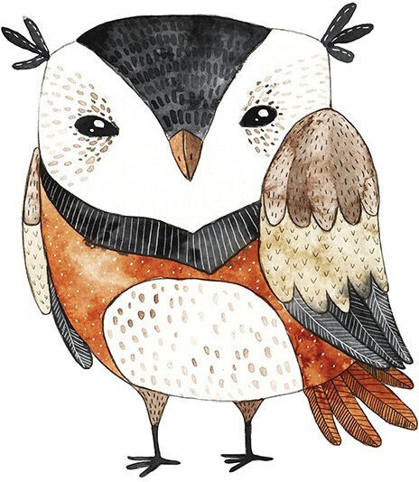 Owl Poster Paper 15x20cm