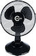 Carruzzo Tabletop Fan 20W Fan Diameter 27cm Black