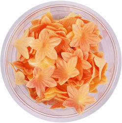 Rose Decor Διακοσμητικά Πέταλα Λουλουδιού Πορτοκαλί