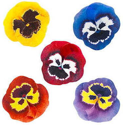 Rose Decor Petale Decorative de Floare Portocaliu