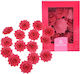Rose Decor Petale Decorative de Floare Roz
