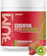 Raw Essential Performance Supplement Pre-Workout 618gr Erdbeer-Kiwi
