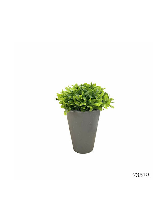 Τεχνητό Φυτό Ibergarden Διαστάσεων 13x13x15cm Γκρι Γλαστράκι