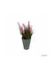 Plantă Artificială Ibergarden Dimensiuni 11x11x22cm Ghiveci Gri Flori Roz