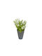 Artificial Plant Ibergarden Dimensions 12x12x23cm Grey Pot White Flowers