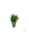 Plantă Artificială Ibergarden Dimensiuni 10x10x22cm Ghiveci Gri
