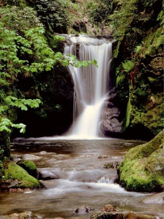 Wallpapers Romantic Waterfall 183x254cm