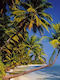 Tapete Wand Tropical Beach 183x254cm