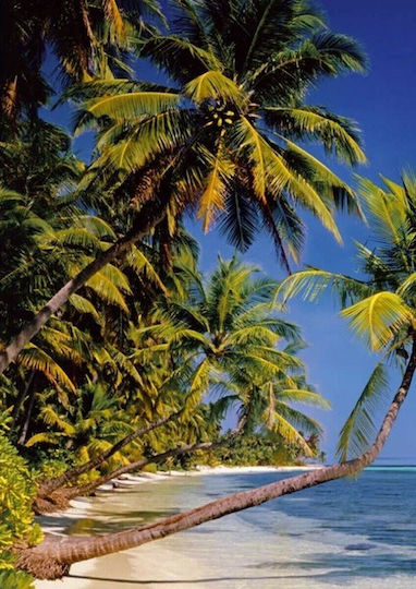 Тапет за стена Tropical Beach 183x254см Тапет за стена Tropical Beach 183x254см